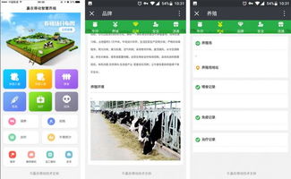 羊聯網溯源軟件 賦能畜牧業的智能技術革新